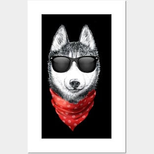 Siberian Husky Shirt with Sunglasses Posters and Art